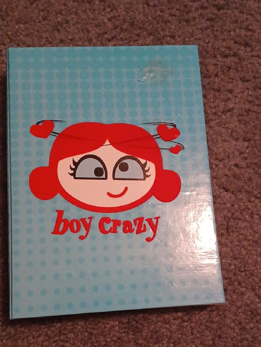 Boy Crazy Kids Toy Journal - Red and Light Blue